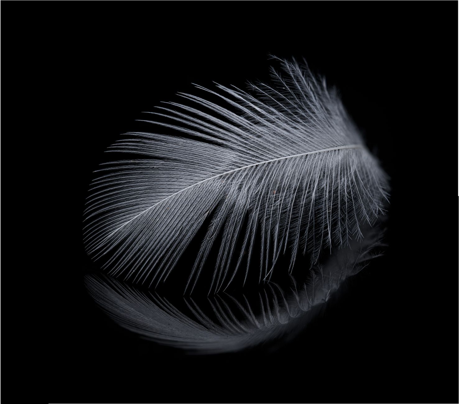 The Feather of Ma'at: Truth, Balance & a Serene Bedroom
